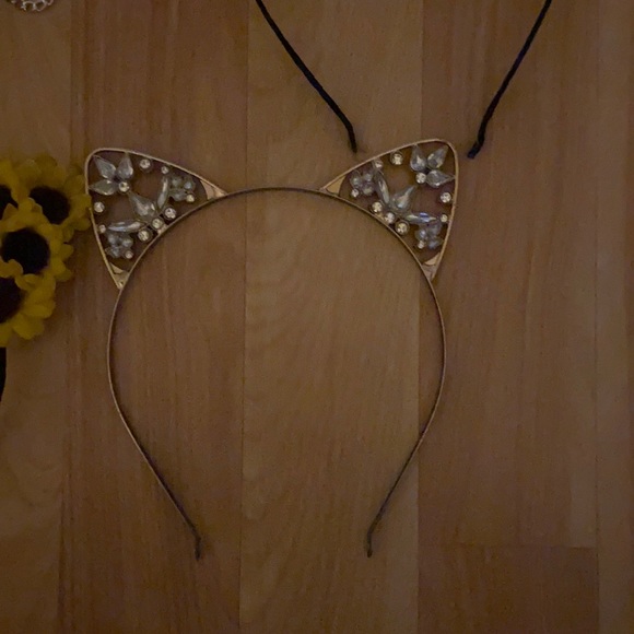 Yeah for kitties - Picture 5 of 7